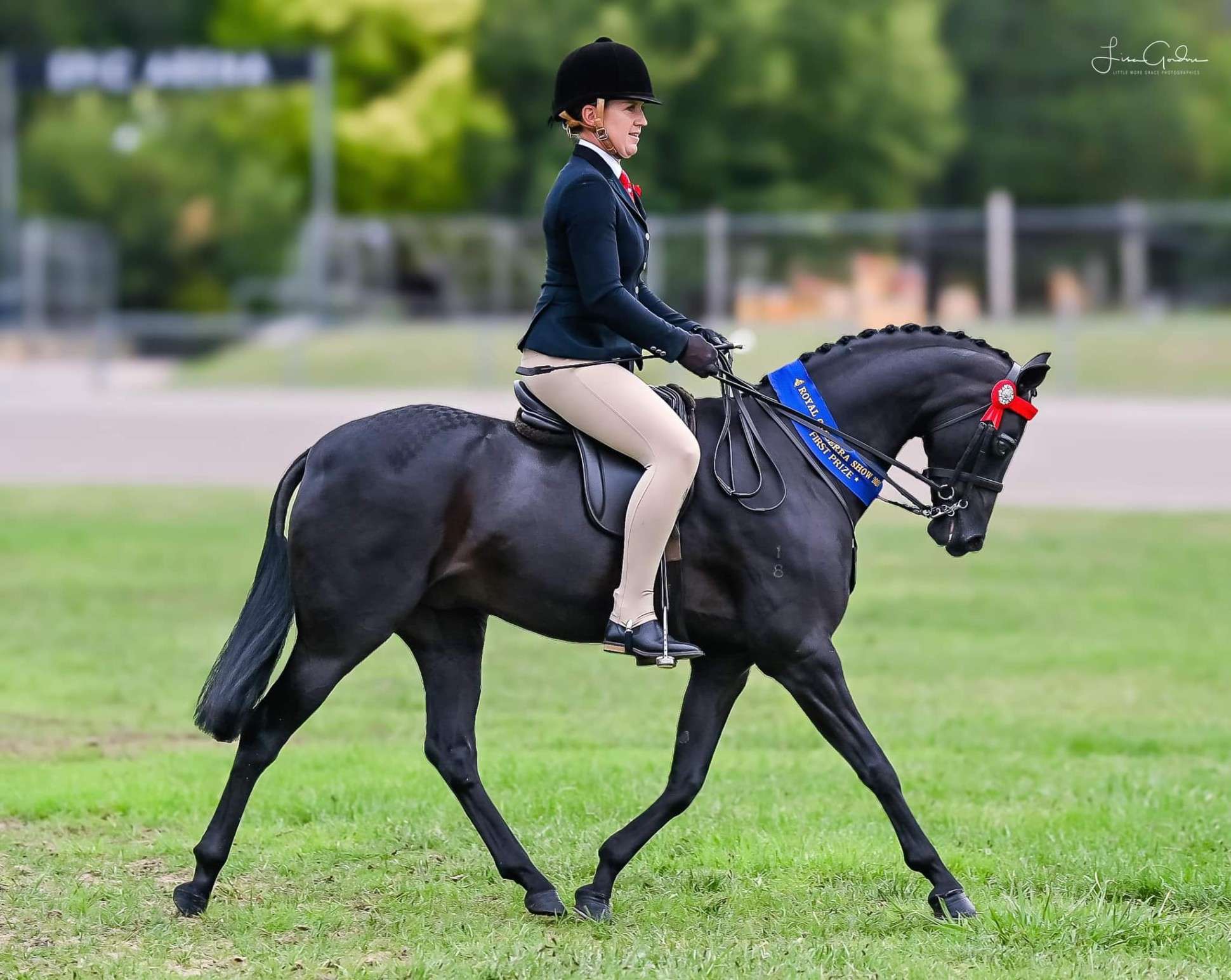 Riding Ponies